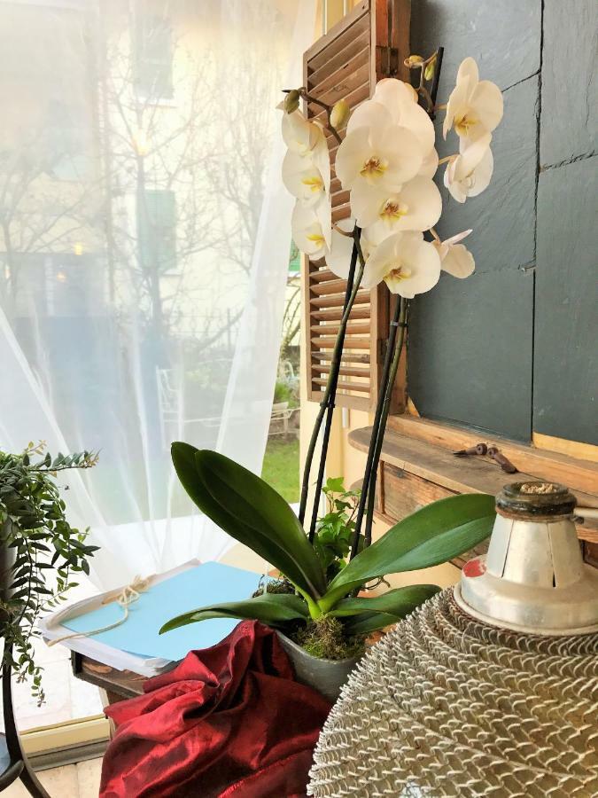 Bed and Breakfast La Casa Di Gabri Ізео Екстер'єр фото